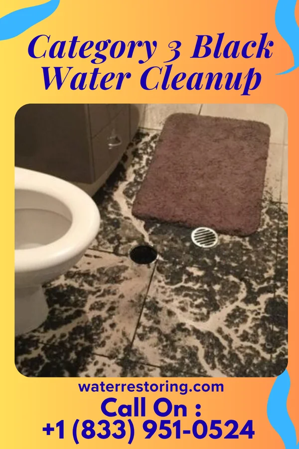Category 3 Black Water Cleanup in Pierz, MN