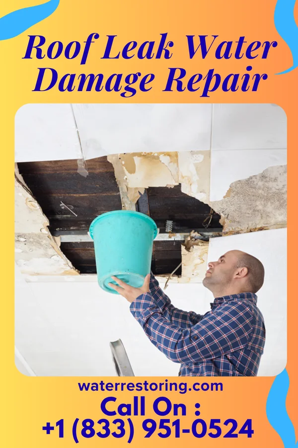 Roof Leak Water Damage Repair in Pierz, MN