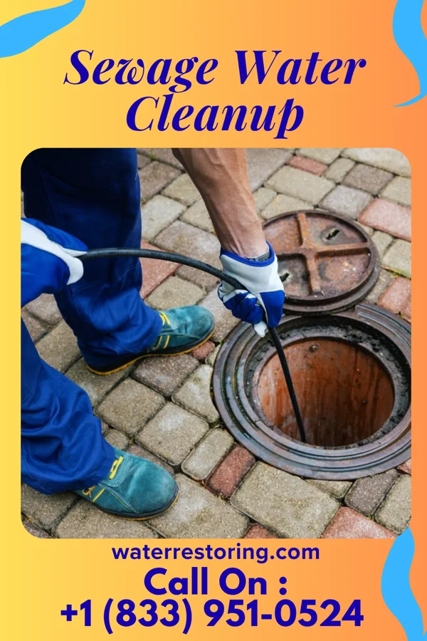 Sewage Water Cleanup in Pierz, MN