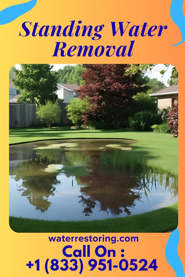Standing Water Removal in Pierz, MN